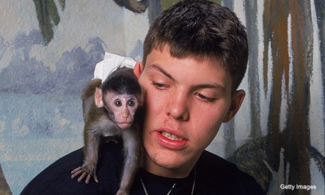 mike-miller-monkey-2